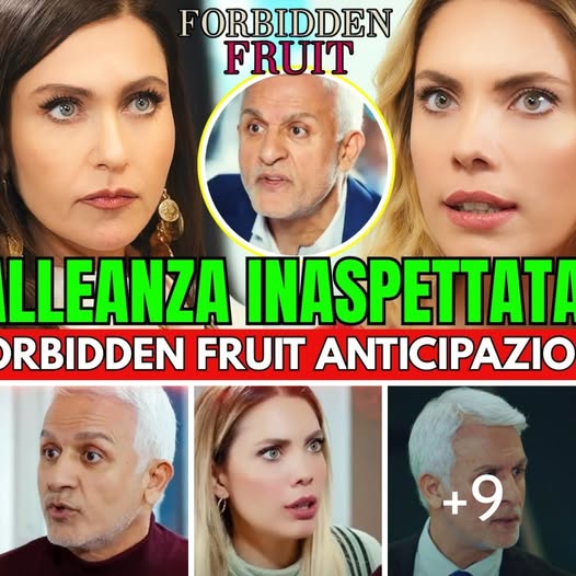 Forbidden Fruit anticipazioni – Yıldız e Ender alleate: la vendetta finale contro Halit