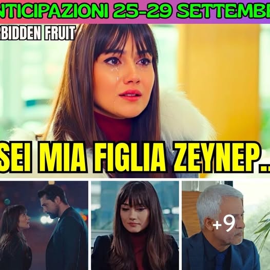 ANTICIPAZIONI FORBIDDEN FRUIT: UN INCONTRO CHE CAMBIA TUTTO:” SEI MIA FIGLIA ZEYNEP..”