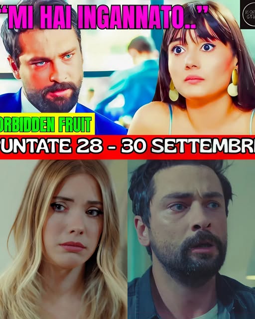 ANTICIPAZIONI FORBIDDEN FRUIT: ALIHAN SCOPRE TUTTO.. IL TERRIBILE SEGRETO DI ZEYNEP