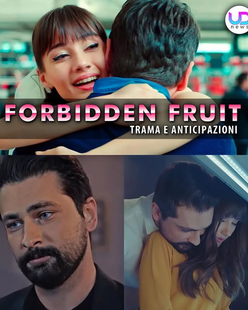 Forbidden Fruit, Anticipazioni Turche: Zeynep Lascia Dundar All’Altare E Corre Da Alihan!