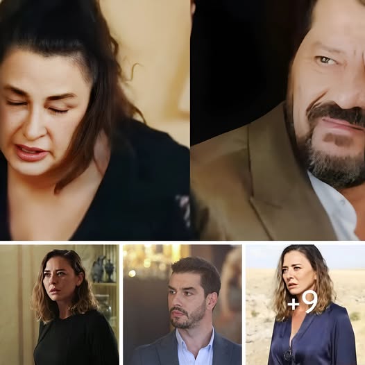 La notte nel cuore spoiler 1ª stagione, sconfitta per Hikmet, Tahsin: ‘Non hai più niente’