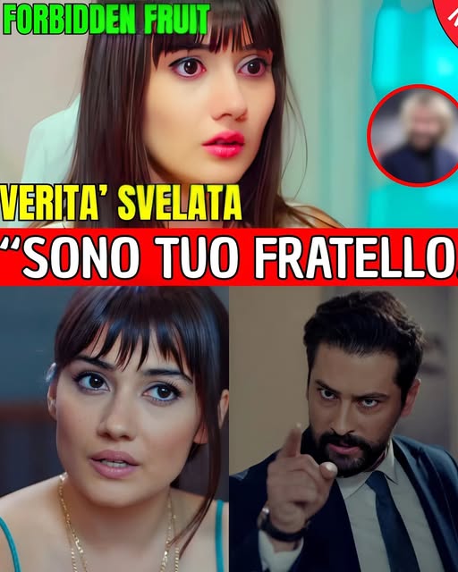 UN INCONTRO INASPETTATO.. VERITA’ SVELATA:”SONO TUO FRATELLO ZEYNEP..” FORBIDDEN FRUIT