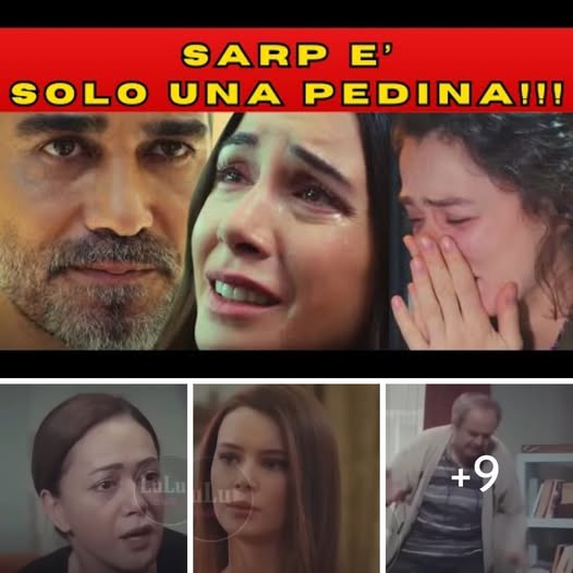 La Forza di una Donna, anticipazioni dal 30 settembre al 4 ottobre: Sarp vede Bahar e svela che lei e il bambino sono in pericolo