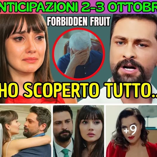 IL DIARIO SEGRETO DI ZEYNEP..ALIHAN PERDE LA TESTA:”HO SCOPERTO TUTTO..” FORBIDDEN FRUIT