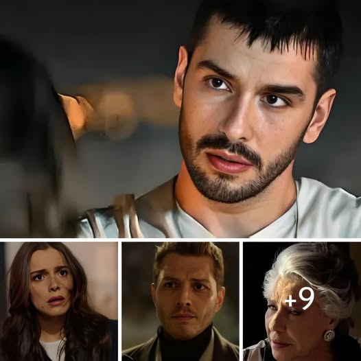 La notte nel cuore trame turche, Cihan rapisce Melek: ‘Non mi lasci altra scelta’