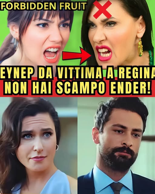 ZEYNEP REAGISCE E DISTRUGGE PUBBLICAMENTE ENDER CON UNA RIVELAZIONE SHOCK! FORBIDDEN FRUIT
