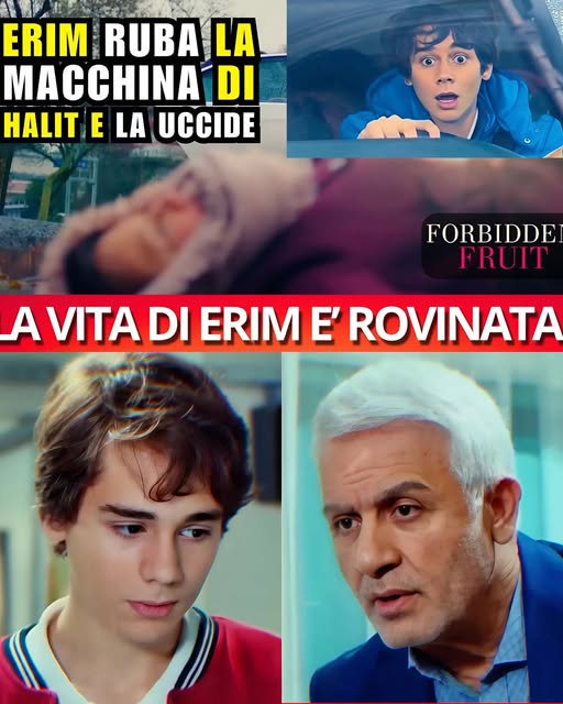 ERIM RUBA L’AUTO DI HALIT , LA BRAVATA SI TRASFORMA IN TRAGEDIA! FORBIDDEN FRUIT ANTICIPAZIONI