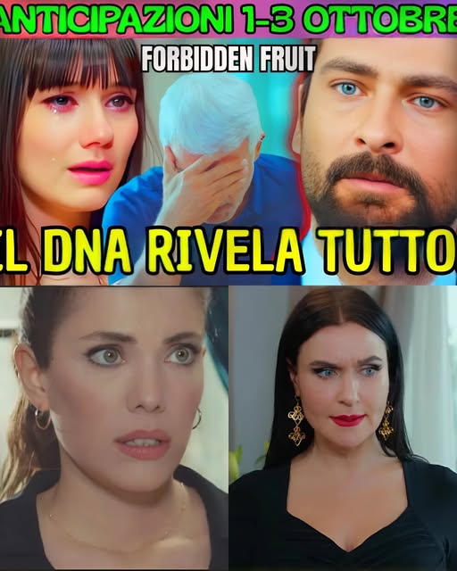IL SEGRETO SVELATO: ALIHAN È FIGLIO ILLEGITTIMO DI HALIT! – FORBIDDEN FRUIT