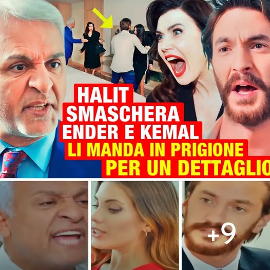 Forbidden Fruit Anticipazioni: Halit scopre il piano codardo di Ender e Kemal e li manda in prigione!