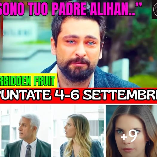 Forbidden Fruit, anticipazioni: Halit prende una drastica decisione… scoperta shock per Yildi