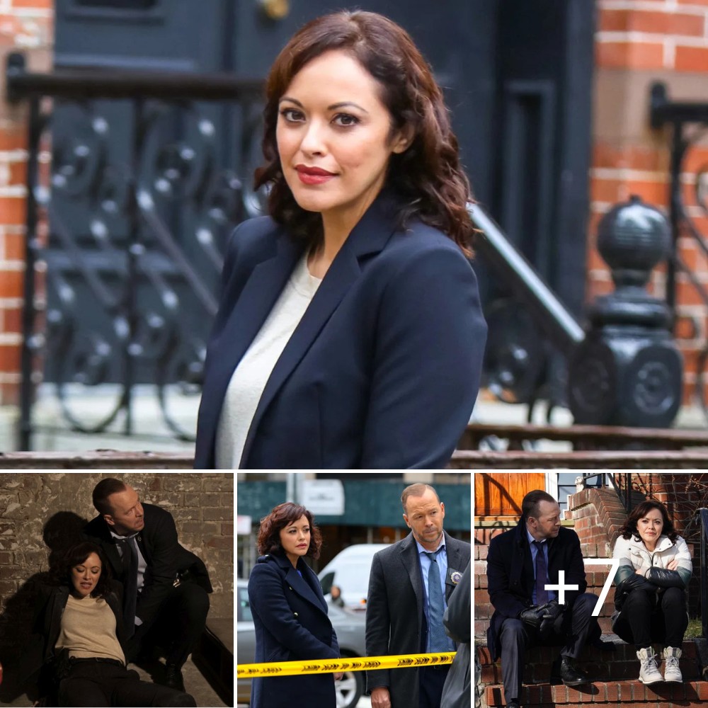 Danny Reagan’s Partner Gone: ‘Blue Bloods’ Star Marisa Ramirez Dead at 48