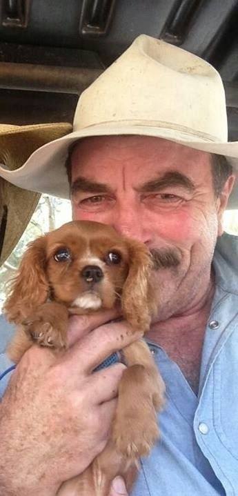 ‘Blue Bloods’ legend Tom Selleck shocks with terminal illness diagnosis