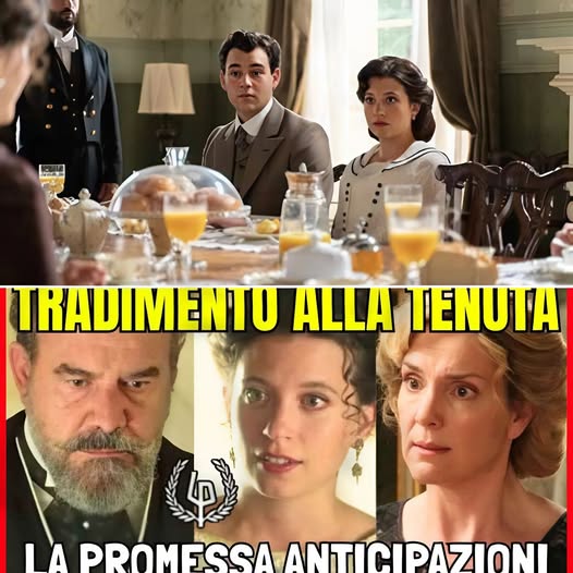 LA PROMESSA ANTICIPAZIONI – MARTINA VUOLE VENDERE TUTTO! Alonso e Cruz esplodono di rabbia!