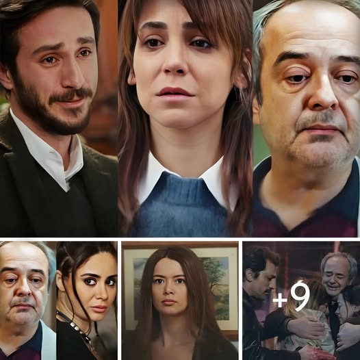 La forza di una donna, trame turche: Emre non perdona Ceyda, Enver caccia Idil da casa